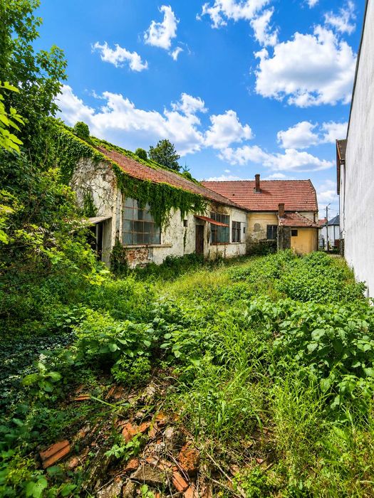 Proprietate de investiție, zona zero Satu Mare – teren 744 m², front 19 m