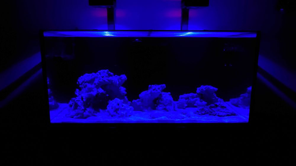 Морски аквариум RED SEA DELUX 425