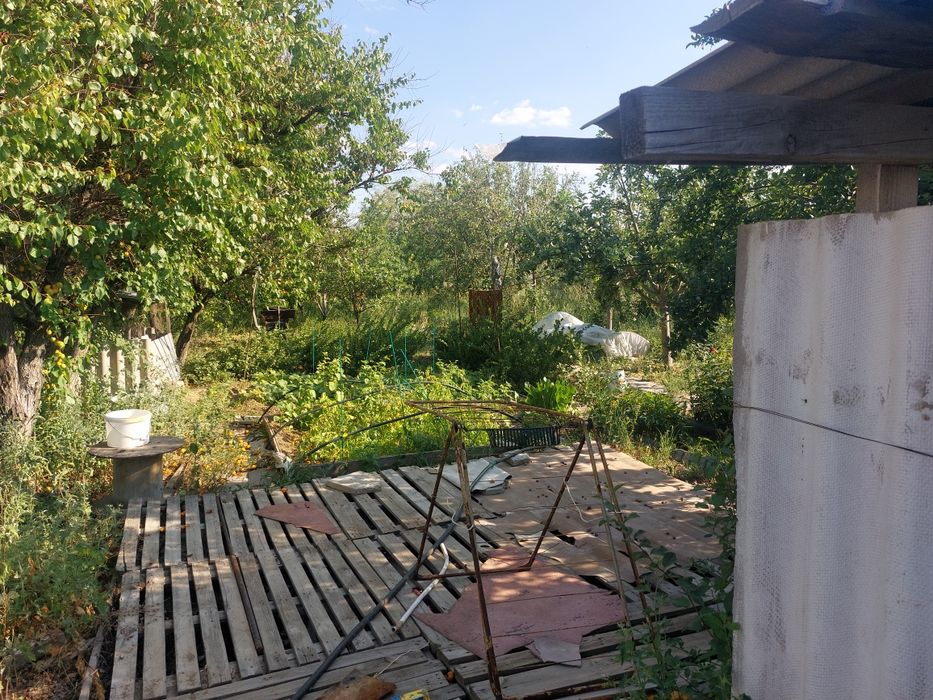 Продам дачу с готовым урожаем