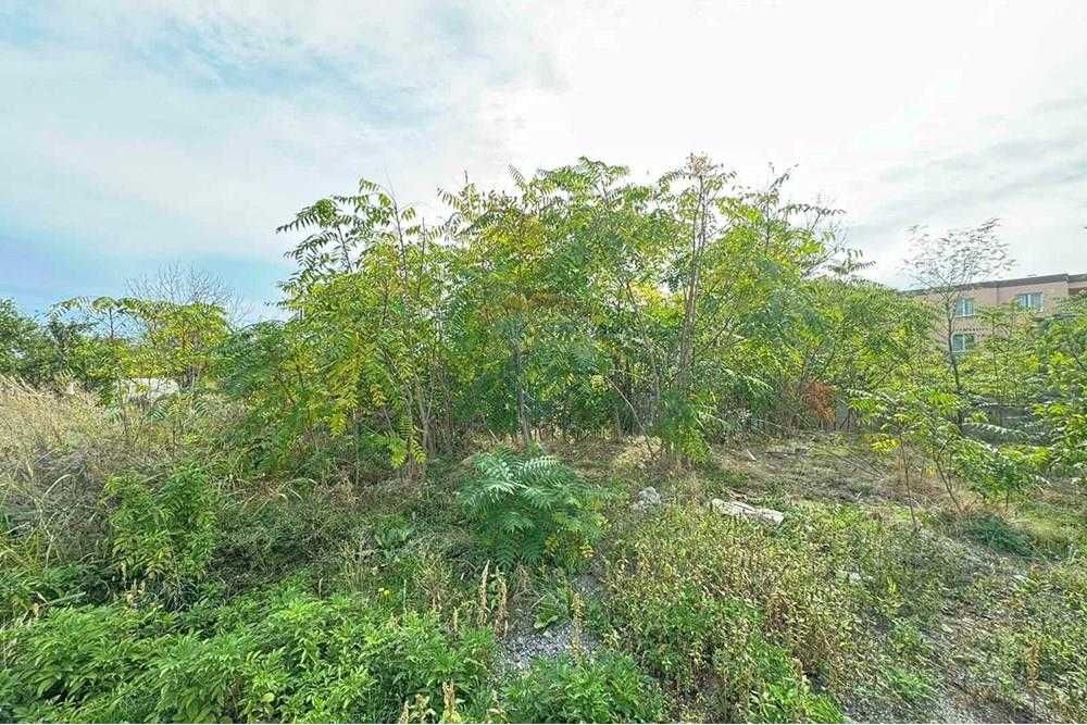 Продава се Парцел в Шумен, Пазара - 2447 кв.м за 135 €/кв.м - Снимка #1