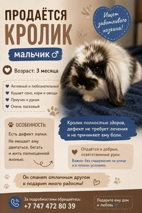 Продается декоротивный кролик