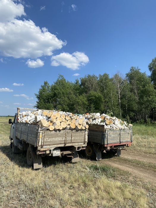 Дрова береза и осина