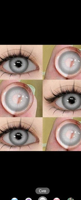 Целогодишни цветни Лещи