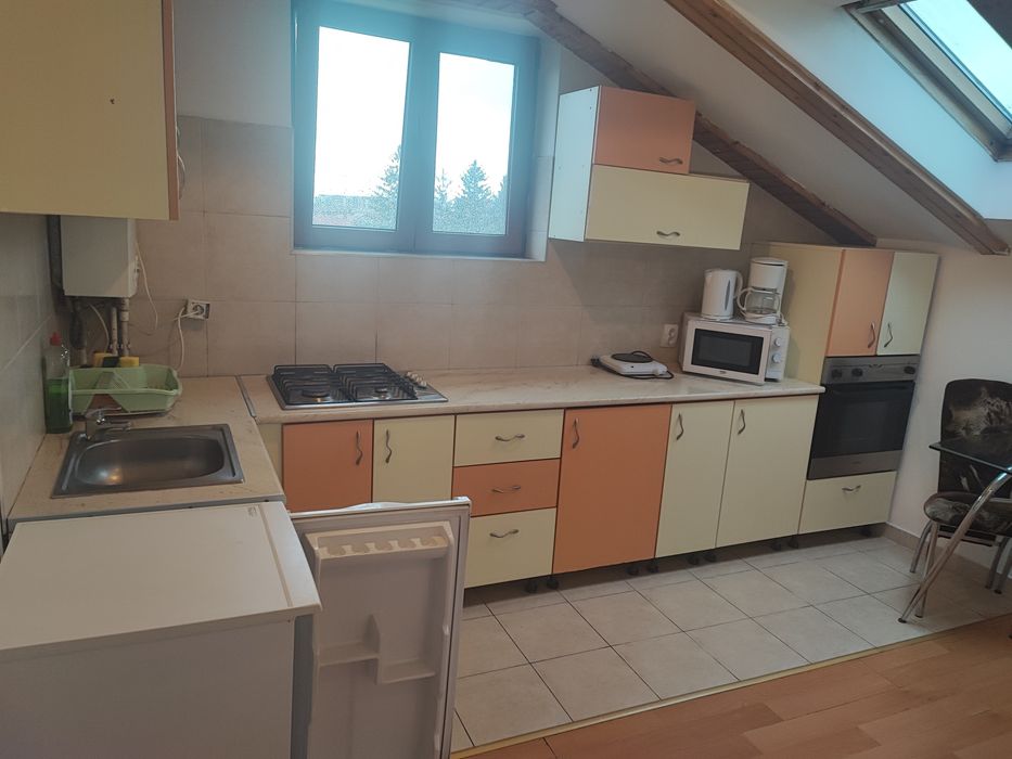 Vand afacere la cheie, domeniu turistic (pensiune)