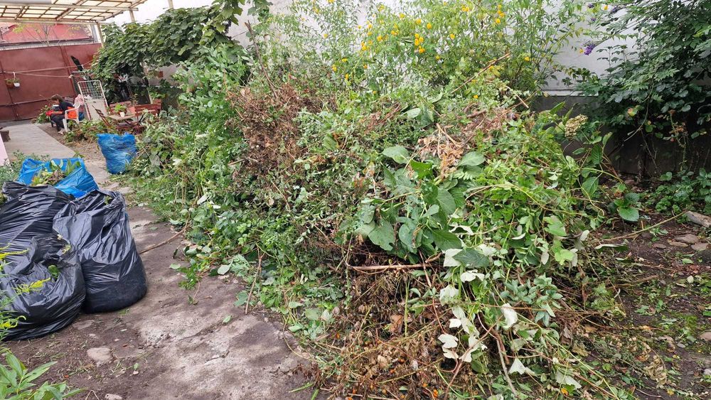 Transport moloz Cluj Firma autorizata