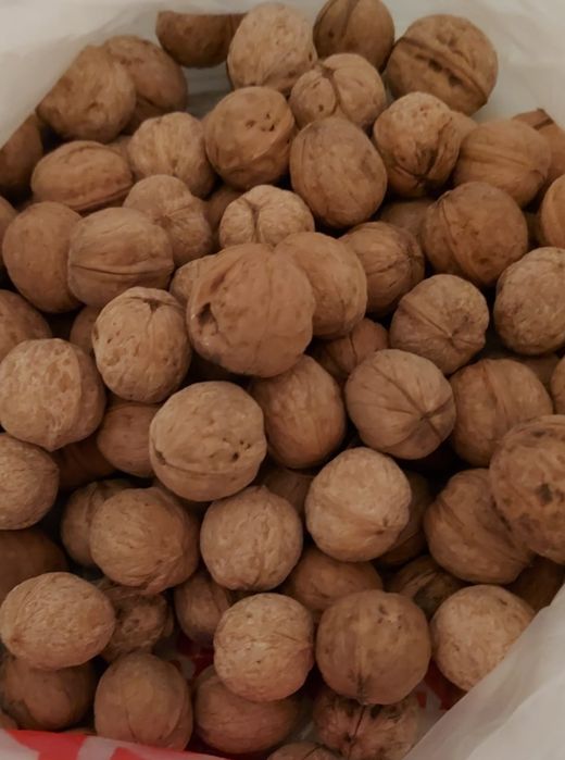 Продаются грецкие орехи