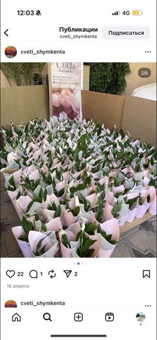 Комнатные растения оптом и в розницу