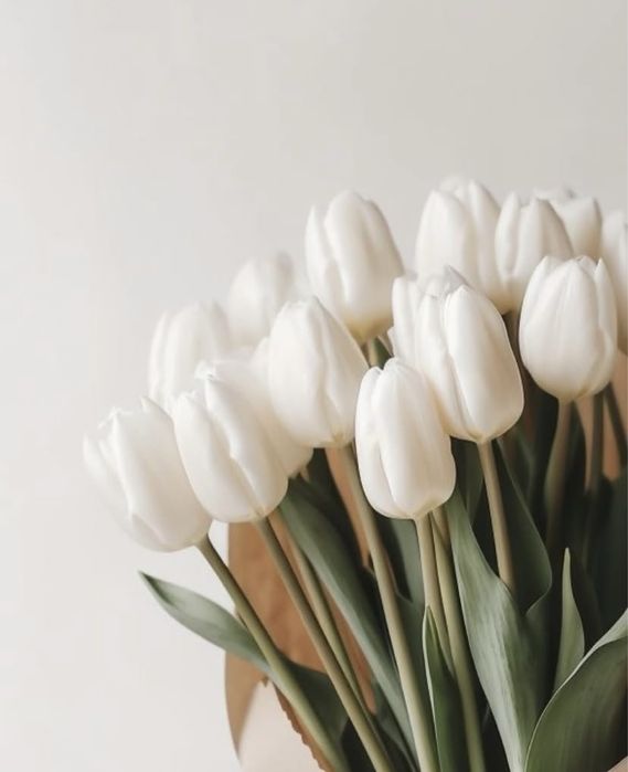 Тюльпаны\Оптом\Алматы