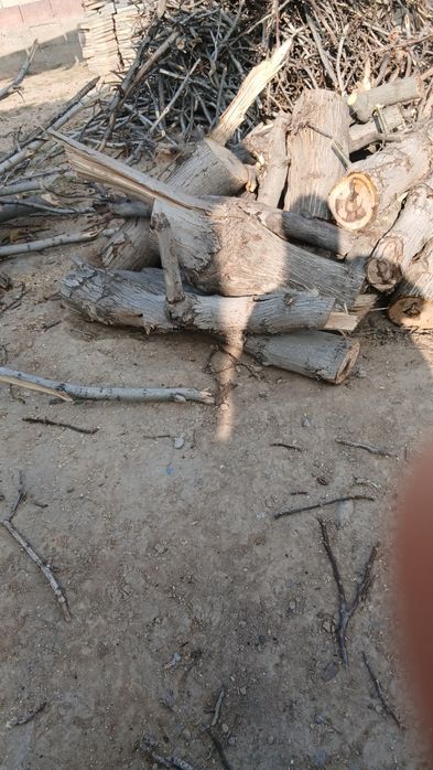 Дрова орех сухие выпилинные