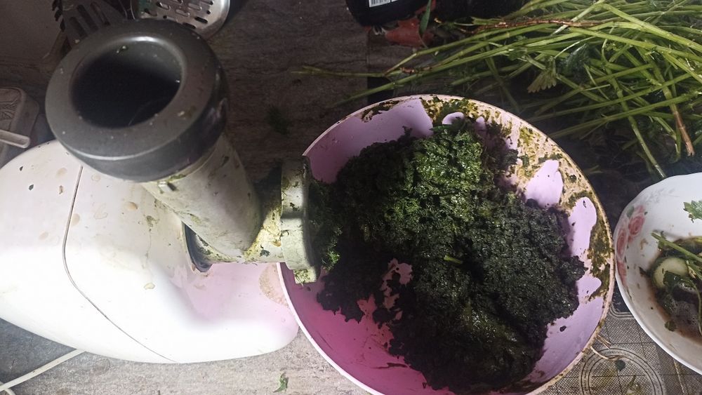 крапива (сок этого года )