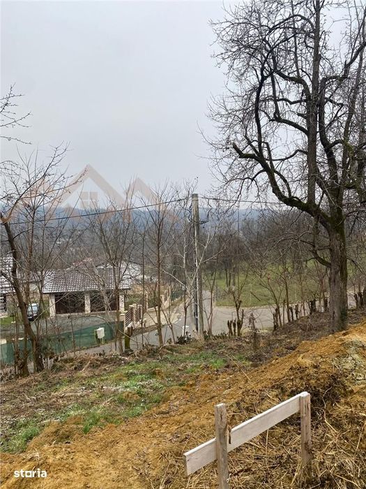 Teren in Carbunari cu proiect de casa