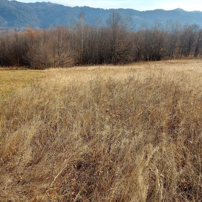 Vând teren intravilan Comuna Spulber