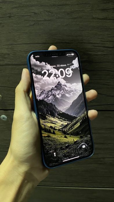 Iphone 12. Pro max 256