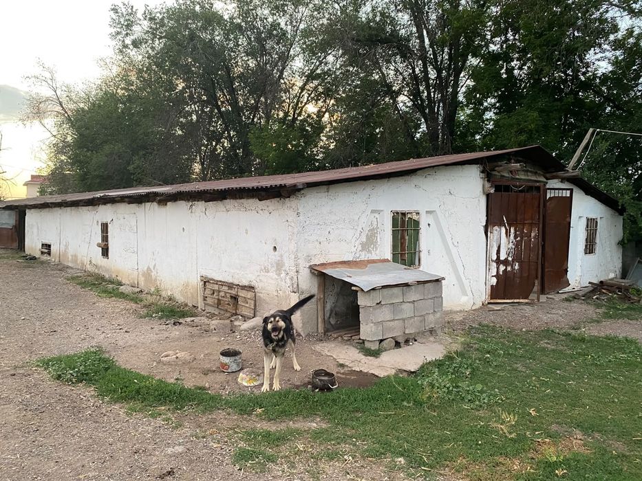 Продается фазенду