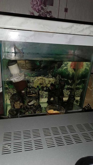 аквариум 36 литров