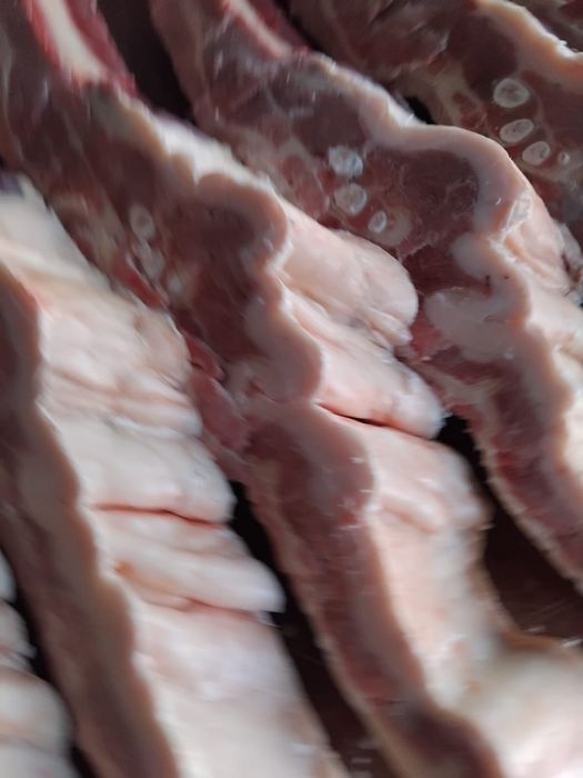 Продам мясо конина