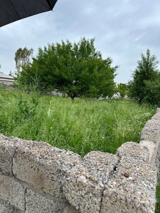 Янгибозорда  ер сотилади 5,8 сотих СРОЧНО!