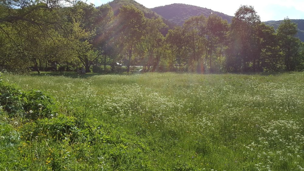 Vand teren intravilan in Statiunea Vama Buzaului