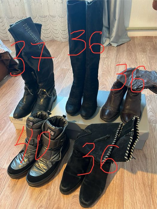 Сапоги любая по 10000