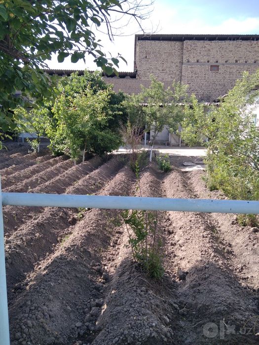 Hovli sotiladi 6 sotix 6 xona