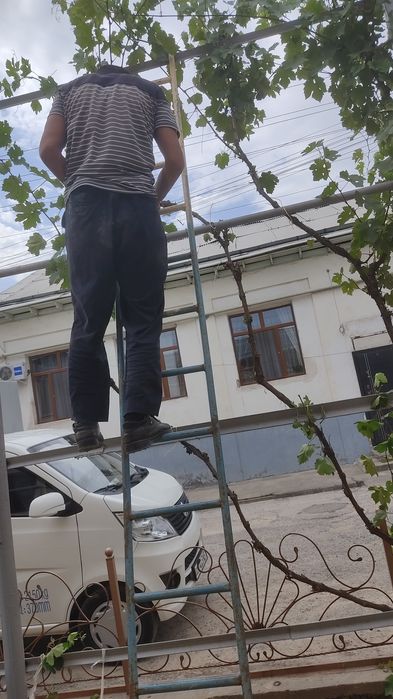 Uzumlarni xomtok qilaman