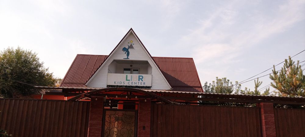 Покраска крыш быстро качествено