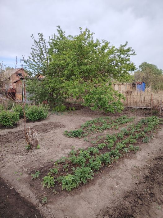 Продажа дача летний вариант