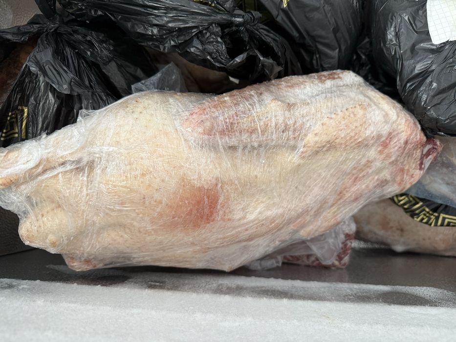 Гусь. Свежее мясо гуся.