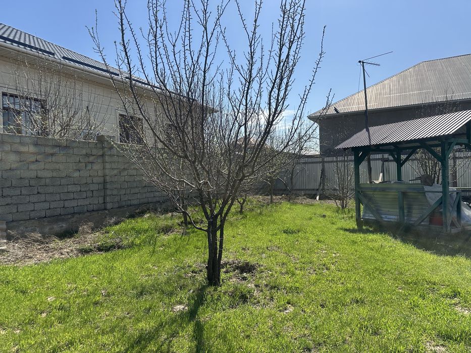 Нұртаста времянка, 8 соттық.