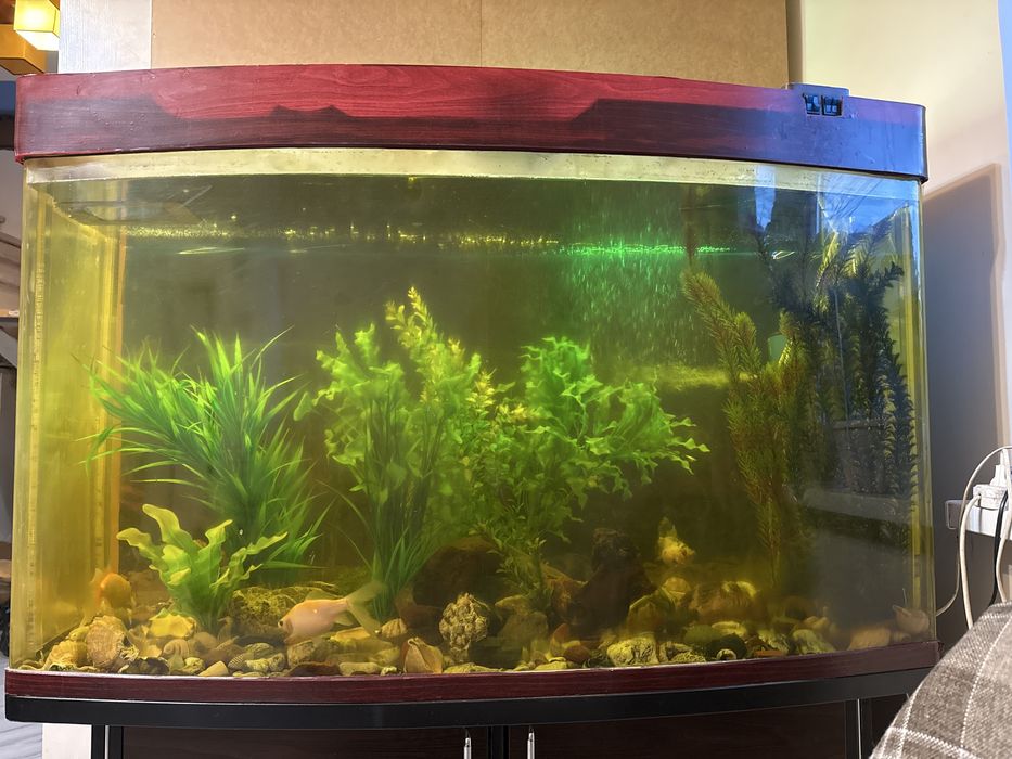 Продаётся аквариум 800 литров