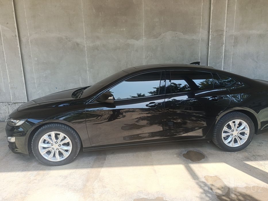 Malibu 2 xl tozza