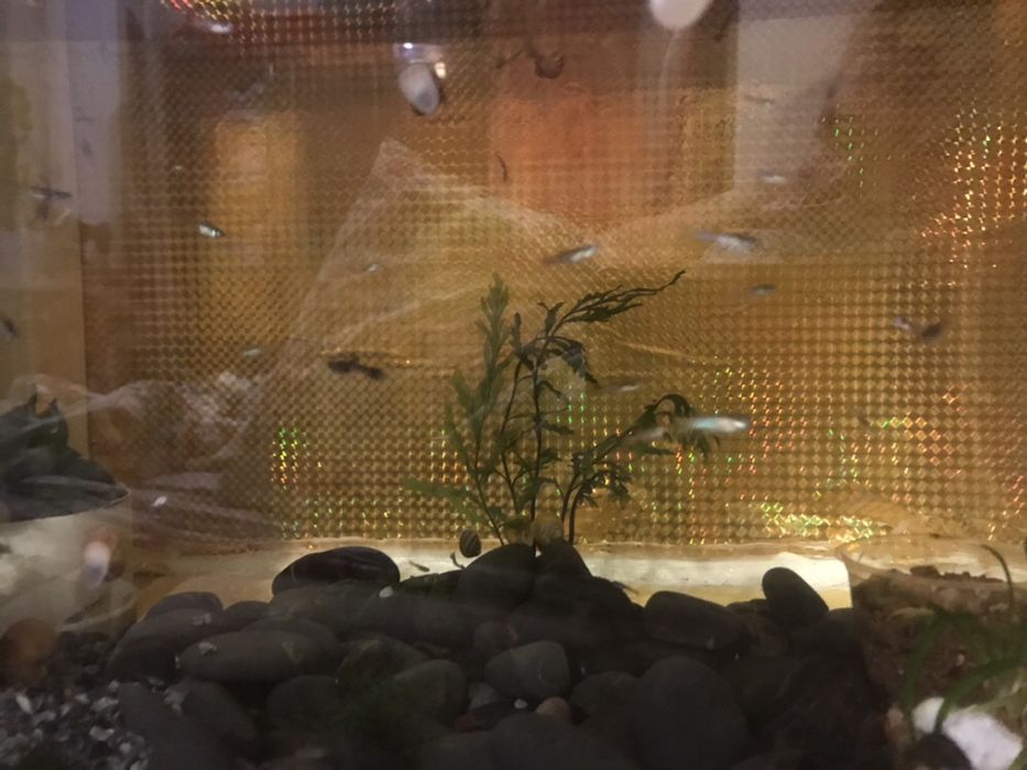 Продам аквариум