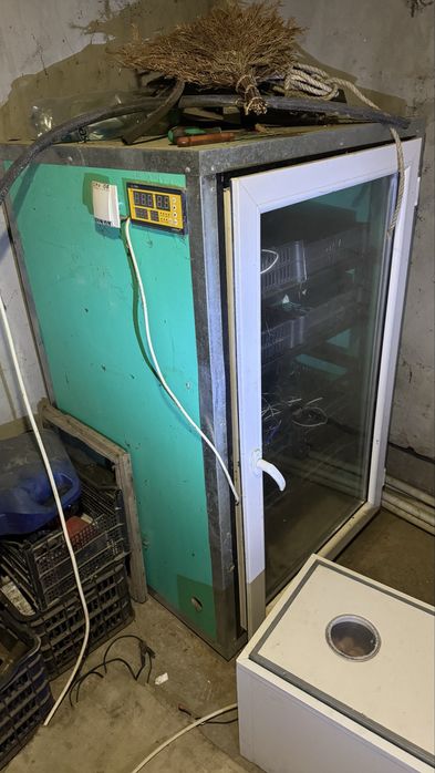 Инкубатор для яйцо