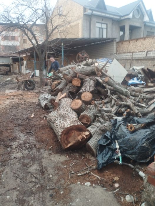 Утин сотилади Дрова продаётся