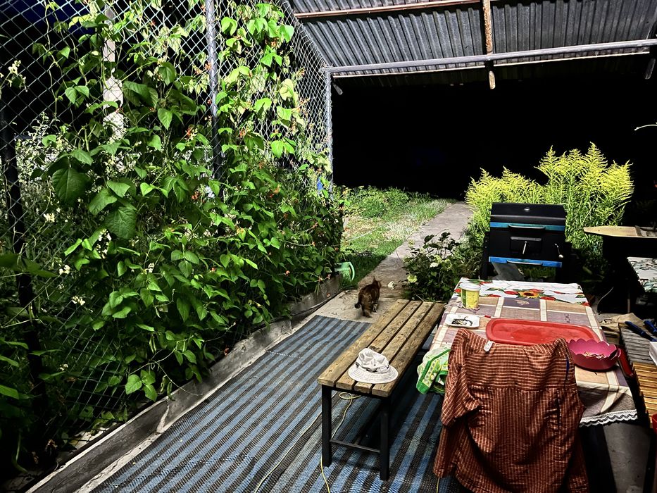 Дача для семьи или под бизнес.