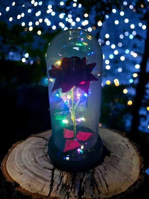 Красива осветена роза в стъкленица с красива подаръчна кутия