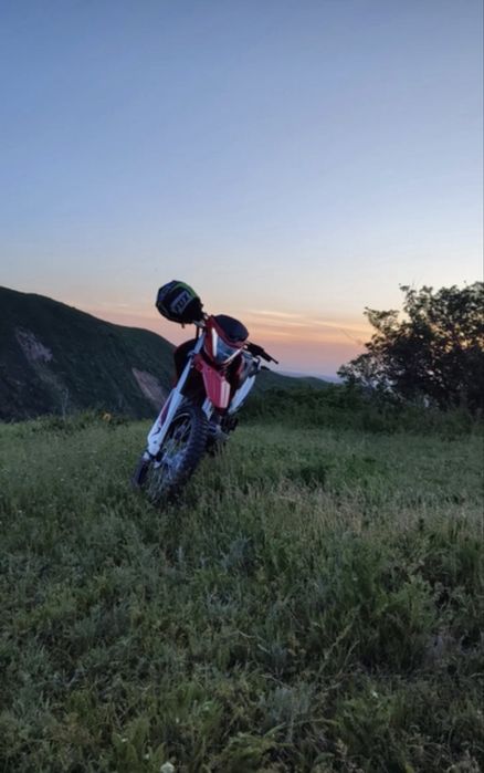 Продам тулпар б10