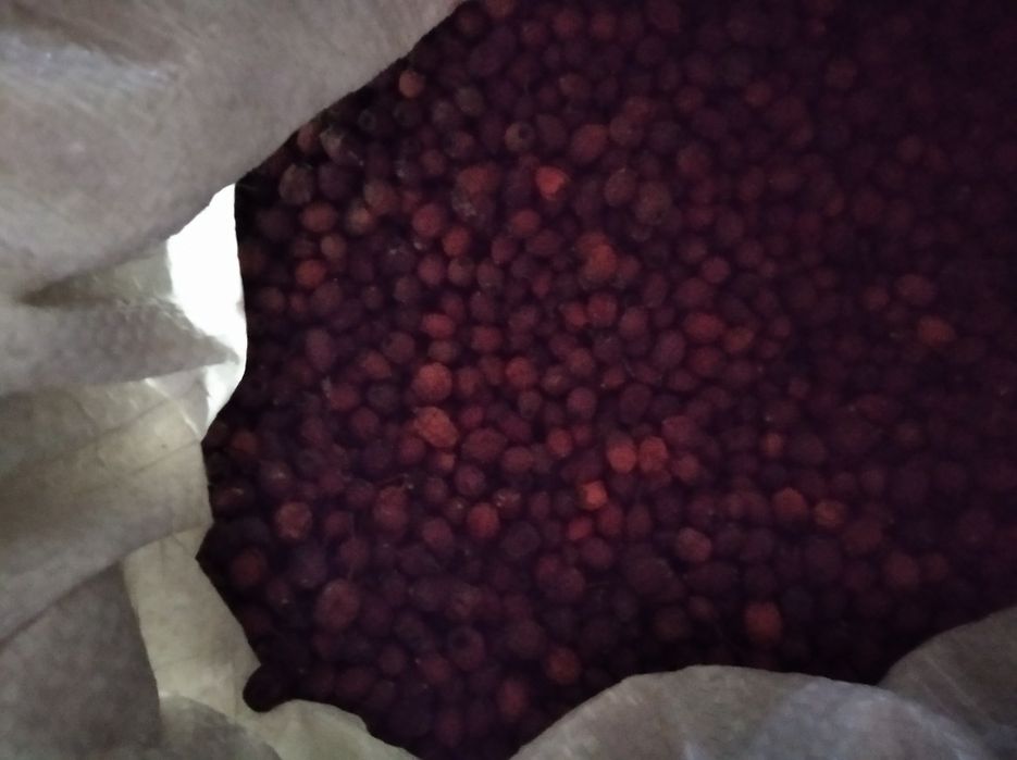 Vand paducel uscat si macesel