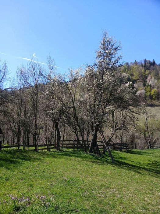 Casă de vânzare în Bucium (Alba) cu teren generos, apr