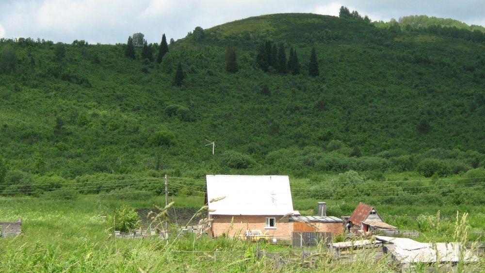 Продам Кирпичный Дом- Пасека!