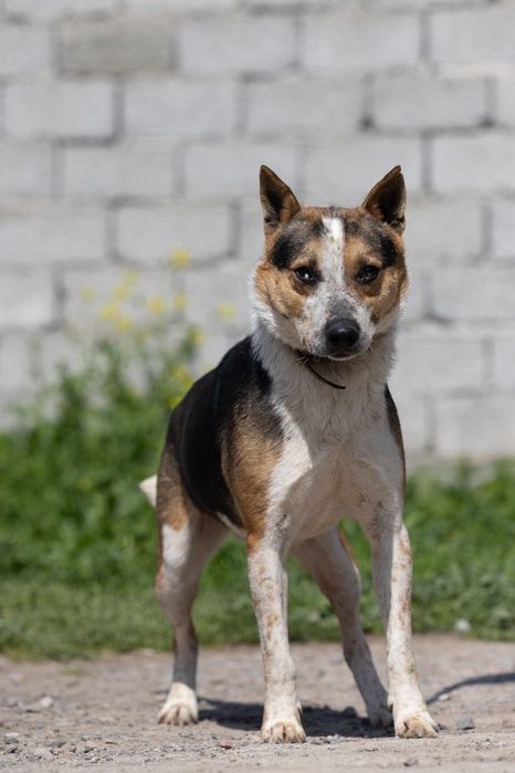 Мальчик Ричи ищет дом!