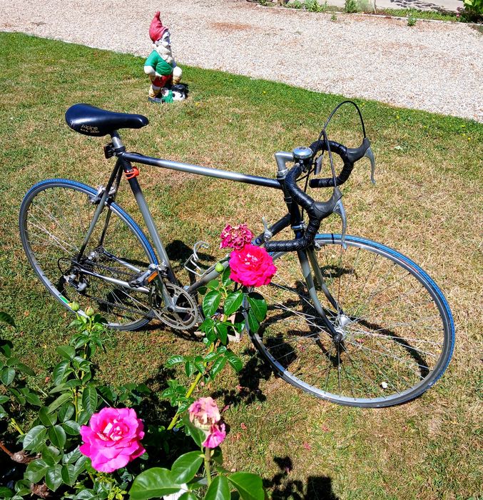 Vand bicicleta cursiera