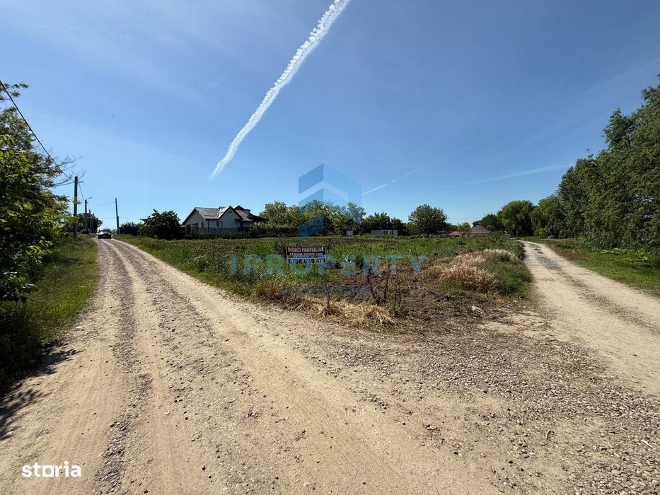 Teren 1.000 Mp | Ileana Calarasi | Dubla Deschidere Stradala | Vedere