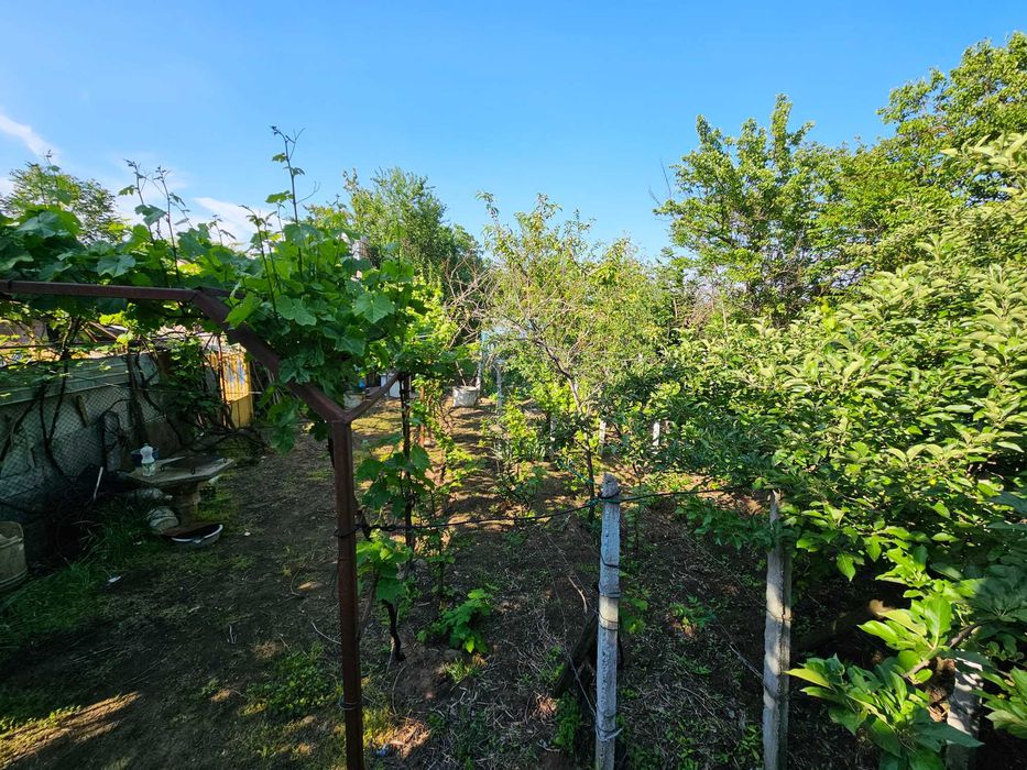 Vila si curte generoasa (4800 mp) - Dobrotesti, judetul Dolj