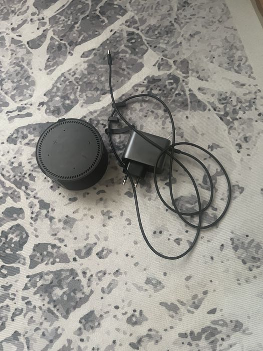 Животные продаюю