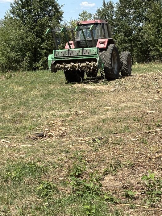 tocat forestier , curatire terenuri cu vegetatie necontrolata
