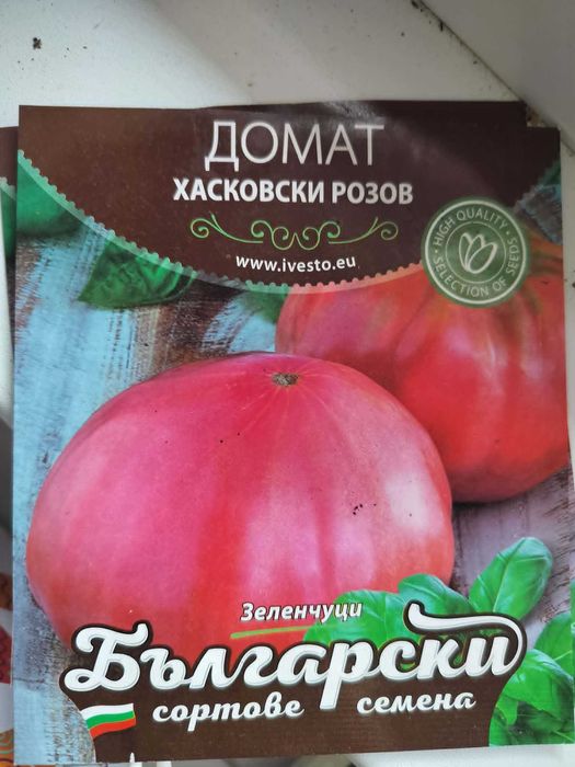 Разсад домати хасковски розов, розов и биволско сърце