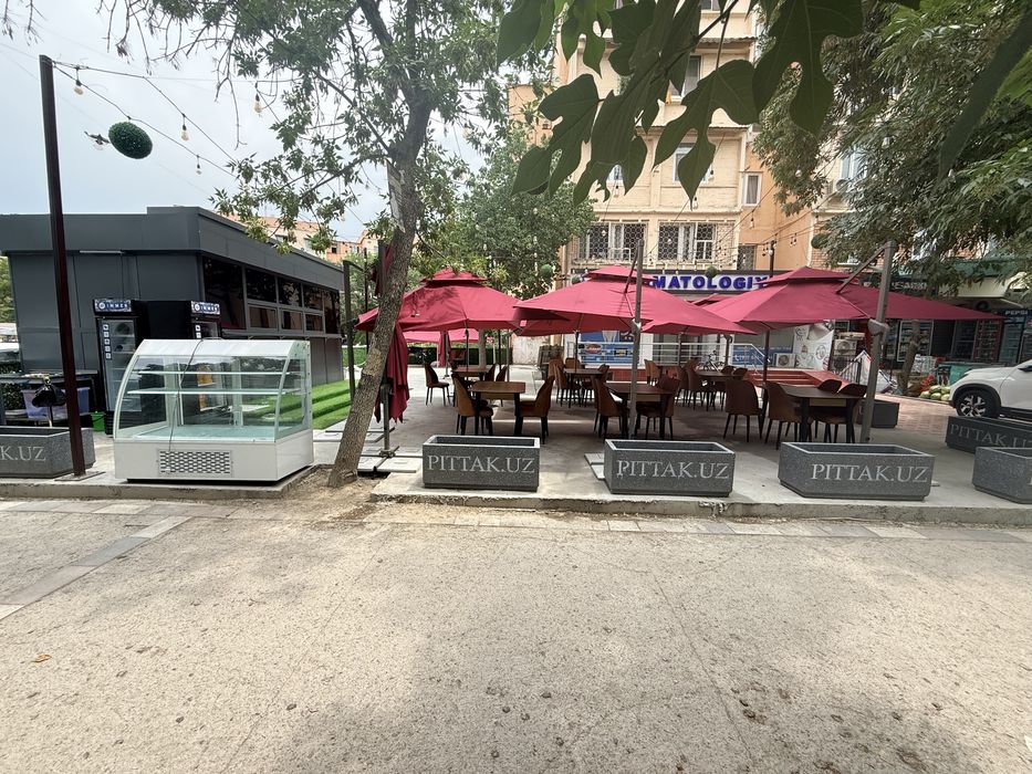 Kafe tayyor biznes sotiladi hammasi yengi