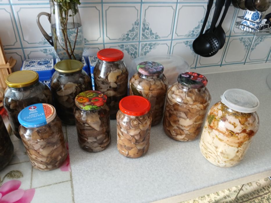 Солёные маринованные грибы