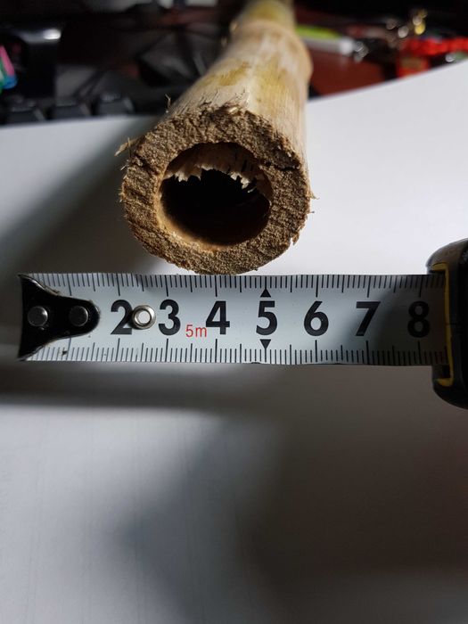 Продам стебли Камышового Бамбука 2023 года урожая.